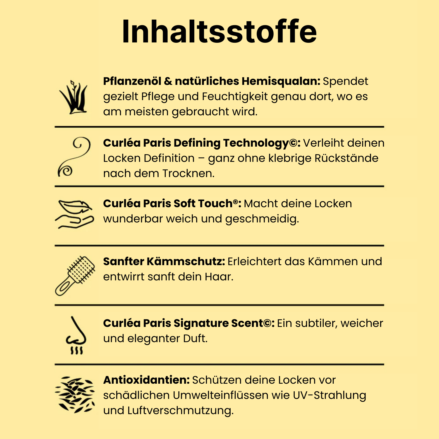 Curly Definition Set - Curlea Paris